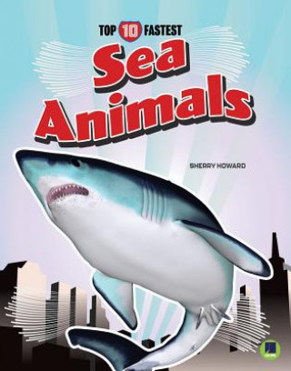 Kniha Sea Animals 