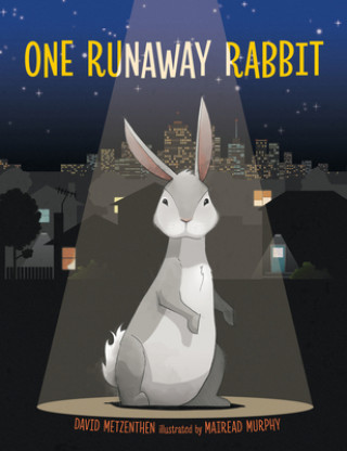 Knjiga One Runaway Rabbit Mairead Murphy