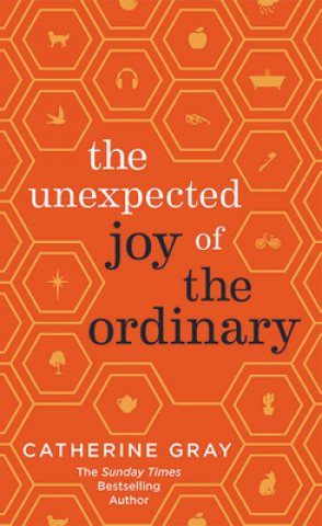 Könyv Unexpected Joy of the Ordinary 