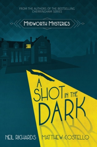 Könyv Shot in the Dark Costello Matthew