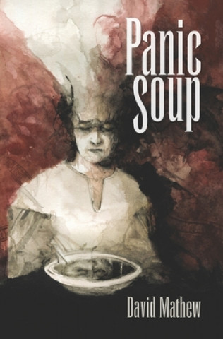 Knjiga Panic Soup David Mathew