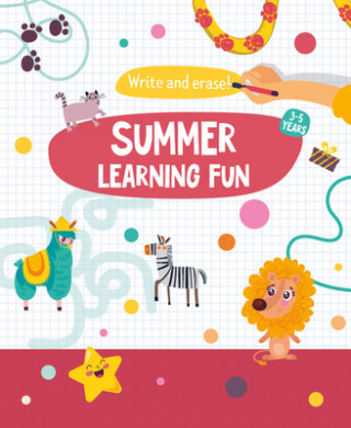 Knjiga Summer Learning Fun Clever Publishing