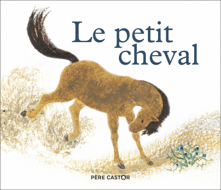 Knjiga Le petit cheval et le vieux chameau May D' Alencon