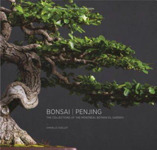 Книга Bonsai | Penjing 