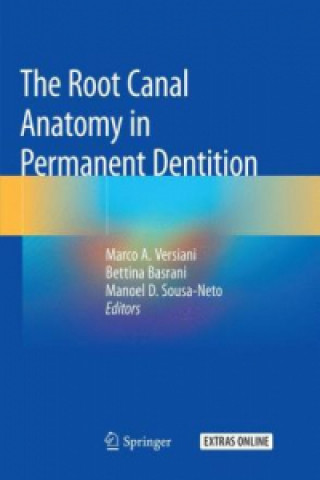 Carte The Root Canal Anatomy in Permanent Dentition Marco A. Versiani