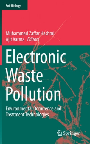 Knjiga Electronic Waste Pollution Muhammad Zaffar Hashmi