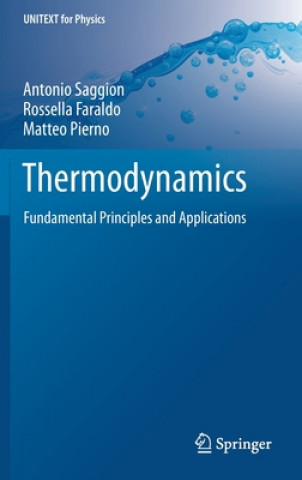 Kniha Thermodynamics Antonio Saggion