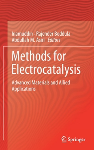 Kniha Methods for Electrocatalysis Inamuddin