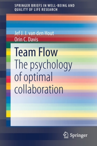 Buch Team Flow Jef J.J. van den Hout