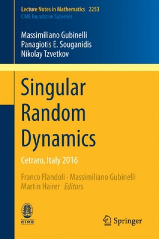Knjiga Singular Random Dynamics Massimiliano Gubinelli