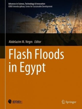Könyv Flash Floods in Egypt Abdelazim M. Negm