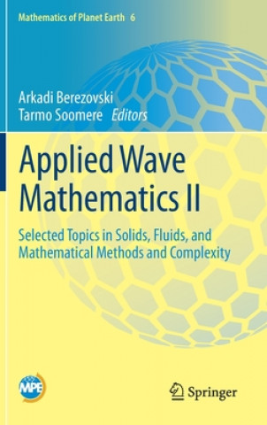 Buch Applied Wave Mathematics II Arkadi Berezovski