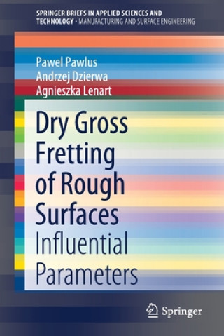 Libro Dry Gross Fretting of Rough Surfaces Pawel Pawlus