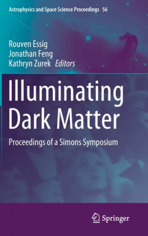 Buch Illuminating Dark Matter Rouven Essig