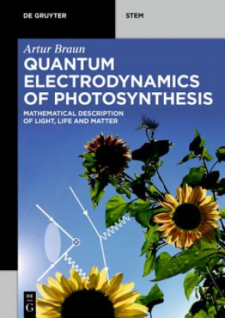 Kniha Quantum Electrodynamics of Photosynthesis Artur Braun