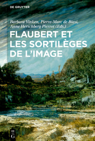 Kniha Flaubert et les sortilèges de l'image Barbara Vinken