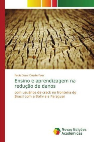Könyv Ensino e aprendizagem na redução de danos Paulo Cesar Duarte Paes