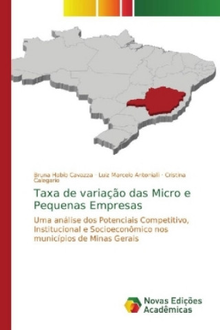 Книга Taxa de variacao das Micro e Pequenas Empresas Bruna Habib Cavazza