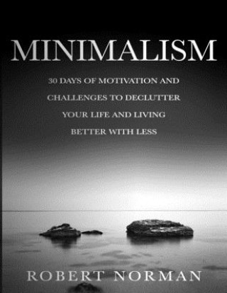 Книга Minimalism Robert Norman