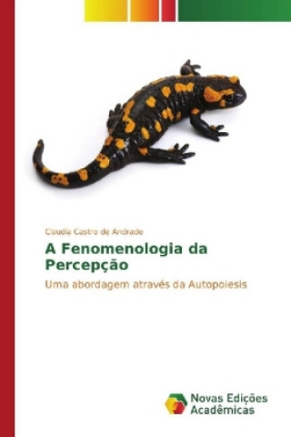 Kniha A Fenomenologia da Percepção Claudia Castro de Andrade