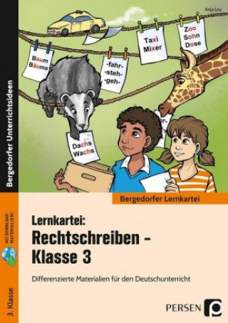 Kniha Lernkartei: Rechtschreiben - Klasse 3 Anja Ley