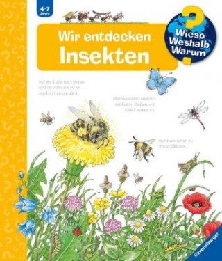 Könyv Wieso? Weshalb? Warum? Wir entdecken Insekten (Band 39) Angela Weinhold