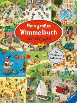 Könyv Mein großes Wimmelbuch Ali Mitgutsch