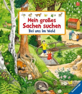 Könyv Mein großes Sachen suchen: Bei uns im Wald Anne Ebert
