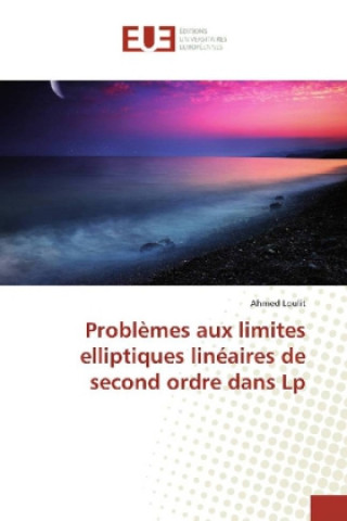 Könyv Problèmes aux limites elliptiques linéaires de second ordre dans Lp Ahmed Loulit