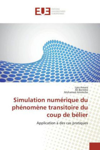 Kniha Simulation numérique du phénomène transitoire du coup de bélier Lyes Amara