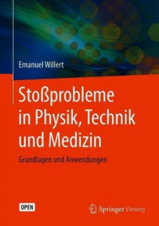 Kniha Stoßprobleme in Physik, Technik und Medizin Emanuel Willert