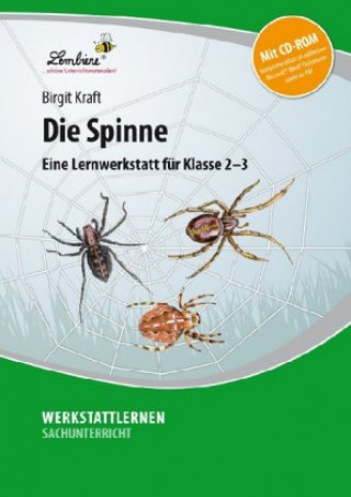 Knjiga Die Spinne Birgit Kraft