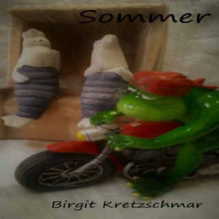Book Sommer Birgit Kretzschmar