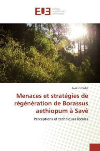 Książka Menaces et stratégies de régénération de Borassus aethiopum ? Sav? Aurès Tchiché