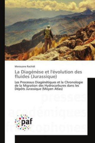 Carte La diagenèse et l'évolution des fluides Merouane Rachidi