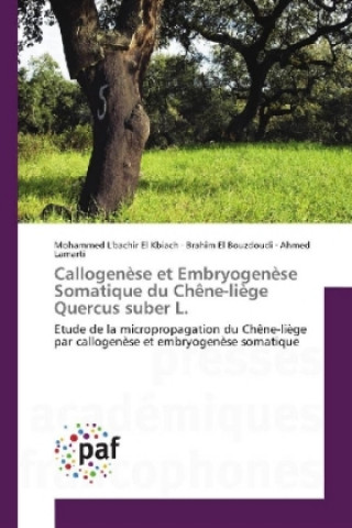 Book Callogenèse et Embryogenèse Somatique du Chêne-liège Quercus suber L. Brahim El Bouzdoudi