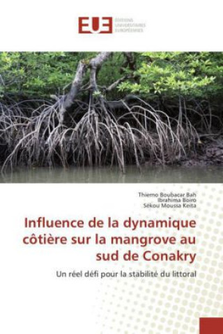 Kniha Influence de la dynamique côtière sur la mangrove au sud de Conakry Thierno Boubacar Bah