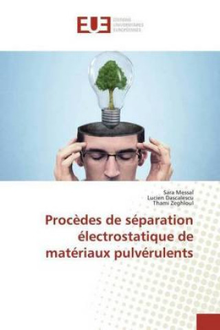 Könyv Procèdes de séparation électrostatique de matériaux pulvérulents Sara Messal