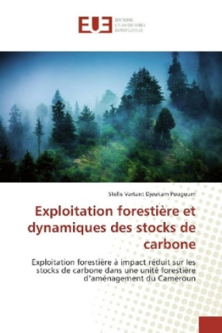 Könyv Exploitation forestière et dynamiques des stocks de carbone Stelle Vartant Djeukam Pougoum