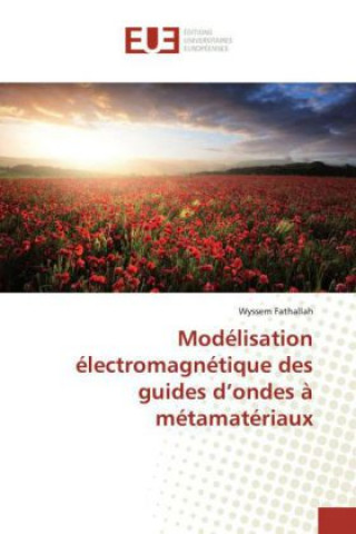 Kniha Modélisation électromagnétique des guides d'ondes à métamatériaux Wyssem Fathallah