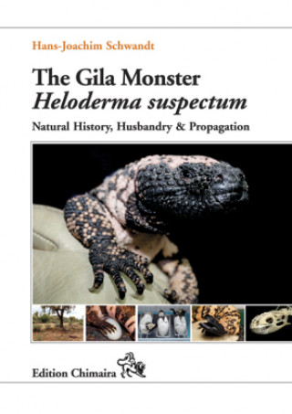 Kniha The Gila Monster Heloderma suspectum Hans-Joachim Schwandt