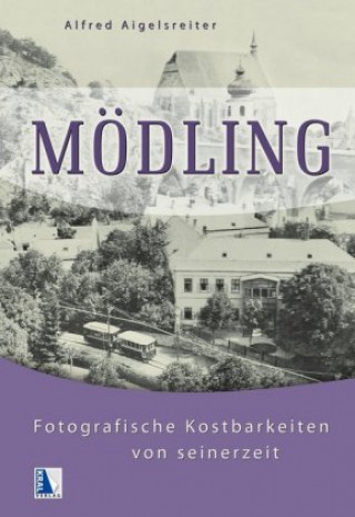 Knjiga Mödling Alfred Aigelsreiter