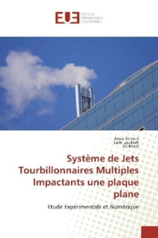 Kniha Système de Jets Tourbillonnaires Multiples Impactants une plaque plane Amar Zerrout