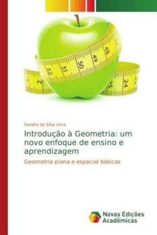 Buch Introducao a Geometria Sandro da Silva Lima