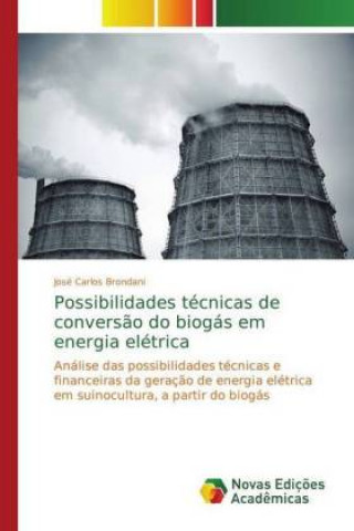 Carte Possibilidades tecnicas de conversao do biogas em energia eletrica José Carlos Brondani