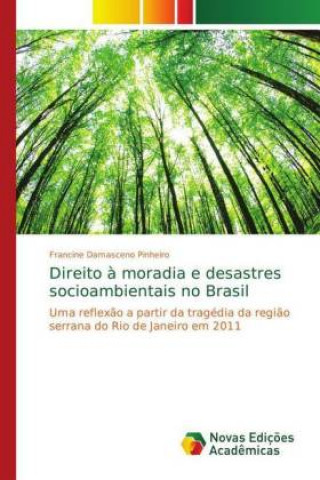 Buch Direito a moradia e desastres socioambientais no Brasil Francine Damasceno Pinheiro