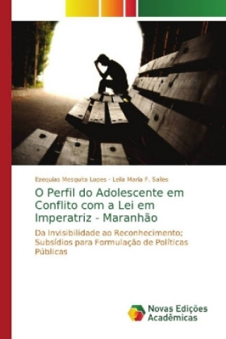 Knjiga O Perfil do Adolescente em Conflito com a Lei em Imperatriz - Maranhao Ezequias Mesquita Lopes