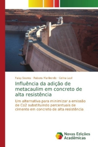 Kniha Influencia da adicao de metacaulim em concreto de alta resistencia Faisy Soares
