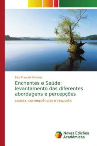 Carte Enchentes e Saúde: levantamento das diferentes abordagens e percepções Elisa Francioli Ximenes