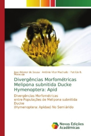 Kniha Divergencias Morfometricas Melipona subnitida Ducke Hymenoptera Jose Aldenor de Sousa